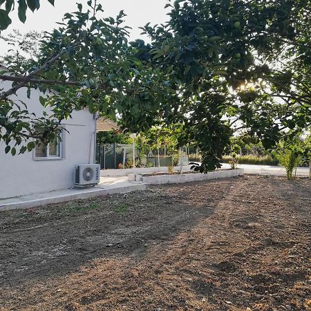 Alibaba Villa Near Airport And Beach Dalaman Exteriér fotografie