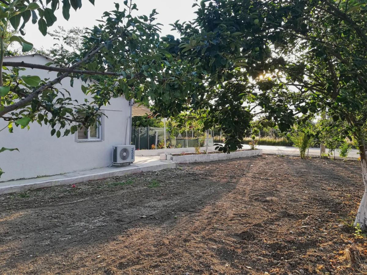 Alibaba Villa Near Airport And Beach Dalaman Exteriér fotografie