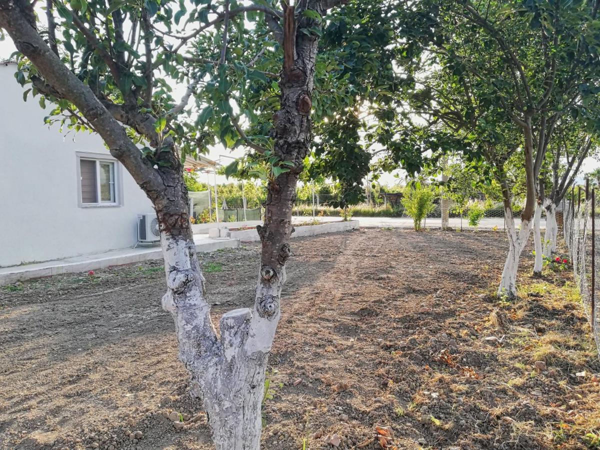 Alibaba Villa Near Airport And Beach Dalaman Exteriér fotografie